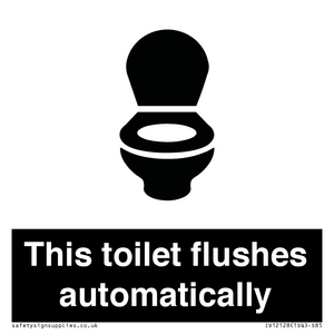 This toilet flushes automatically